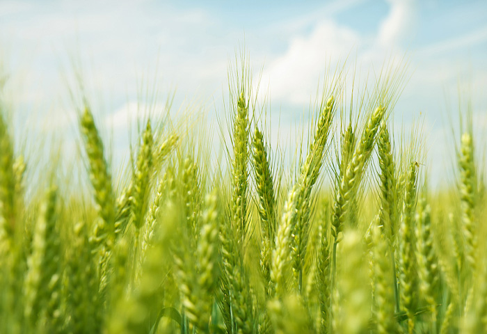 私たちは、顧客の実際のニーズを満たすカスタマイズされた生産ラインの研究と製造を専門としています。